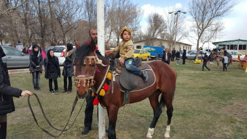 تصویری/ مراسم ۱۳ بدر در اردوگاه شهید فهمیده سراب