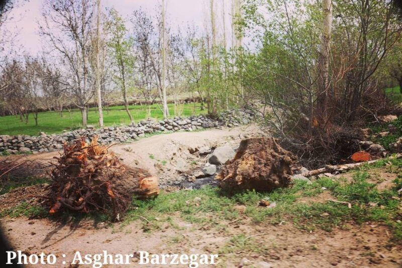 روستای سرسبز جلده باخان از نمایی دیگر / اصغر برزگر