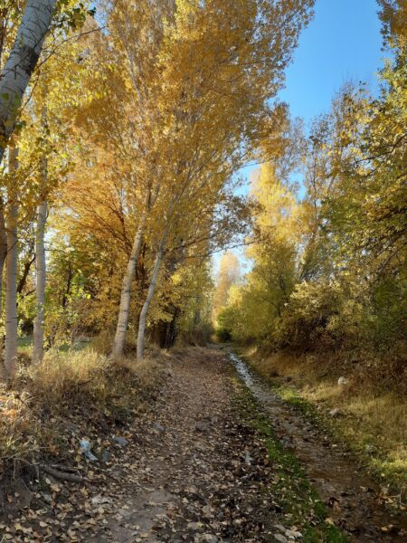 گشت و گذاری در روستای توریستی آبرس