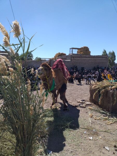 تصویری/ تعزیه خوانی اربعین حسینی روستای اسفستان