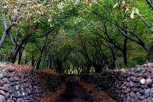 طبیعت زیبای سراب . روستای اردها